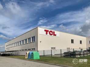 對話王成 TCL如何在2020年躋身歐洲前三，國內貿易代理又扮演何種角色？